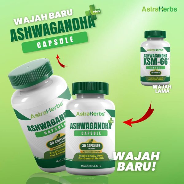 Ashwagandha Set Sembuh